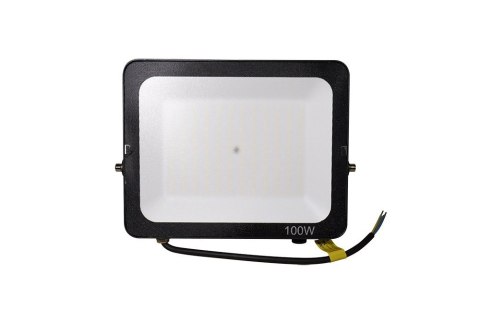 Naświetlacz halogen LED 100W 5000K 10000lm IP65